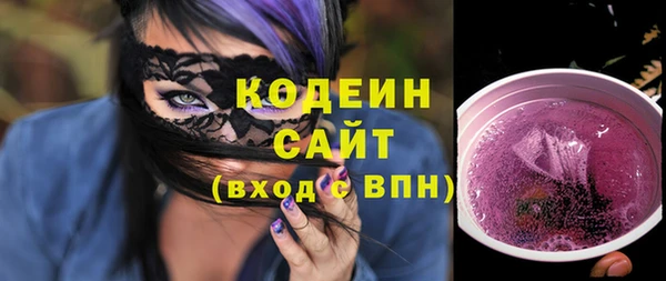 хмурый Арсеньев