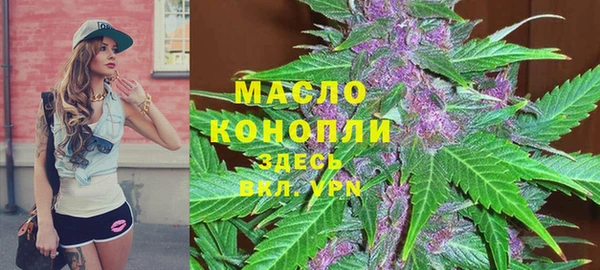 хмурый Арсеньев