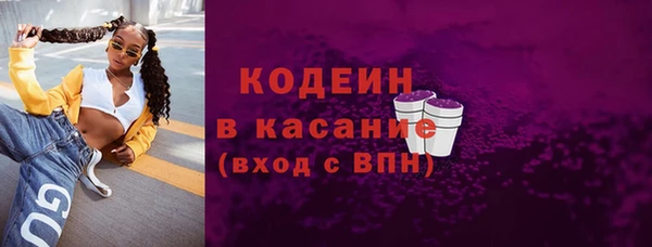 хмурый Арсеньев