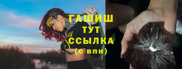хмурый Арсеньев