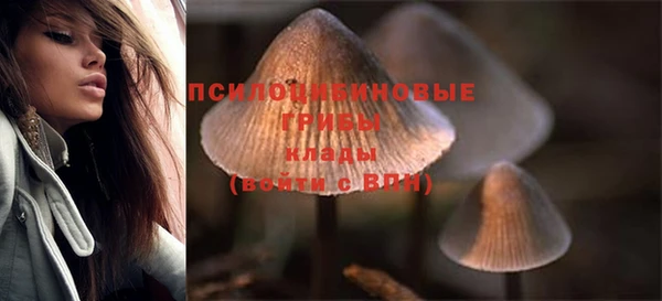 хмурый Арсеньев