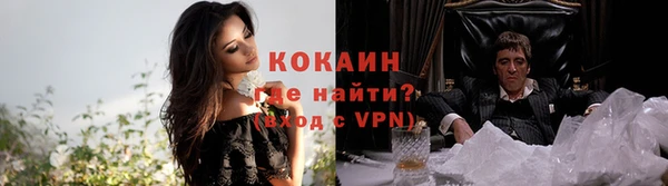 хмурый Арсеньев