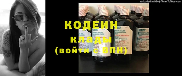 хмурый Арсеньев