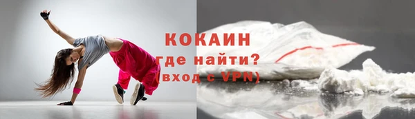 хмурый Арсеньев