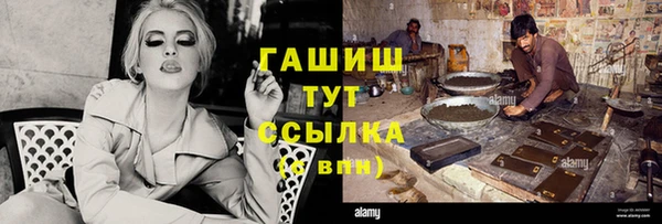 хмурый Арсеньев