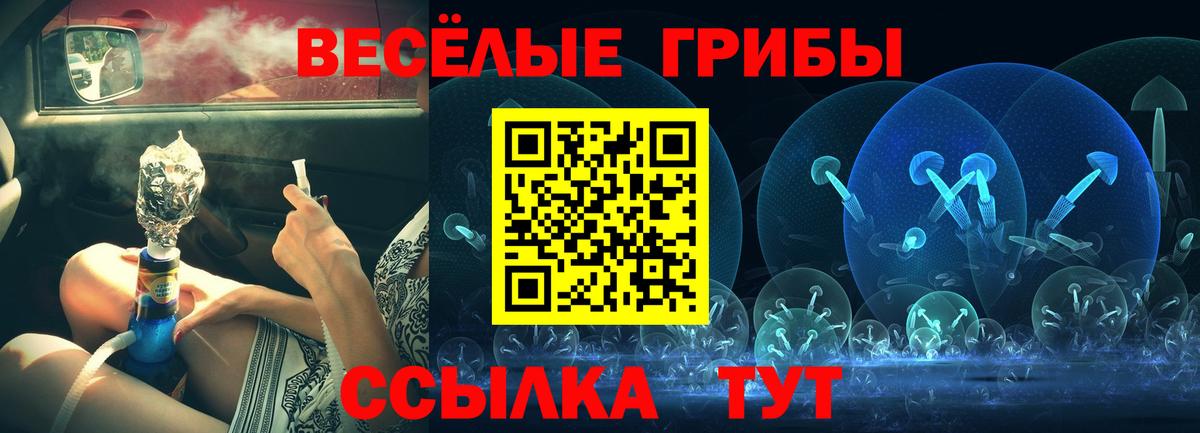 Галлюциногенные грибы Psilocybine cubensis Изобильный