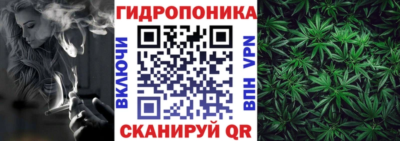 купить наркотики сайты  Изобильный  МЕГА зеркало  Шишки марихуана план 
